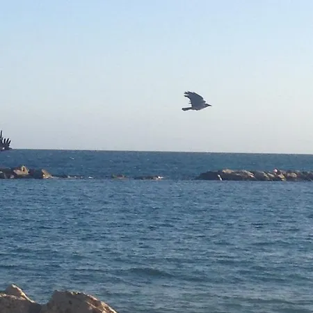 Panorama Cort דירה *