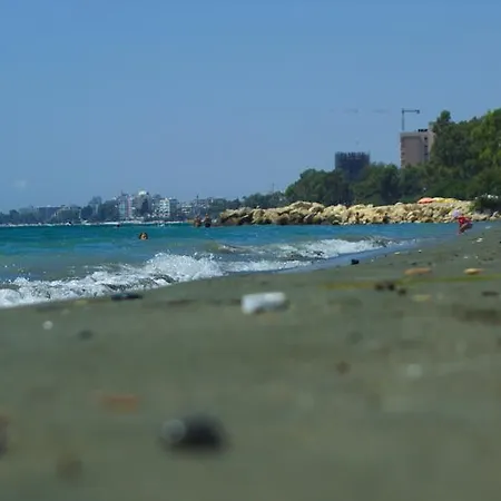 Panorama Cort